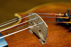 bowed stringed instrument